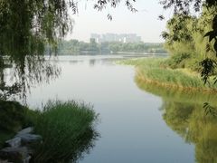 -大兴滨河森林公园