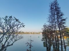 -美的鹭湖森林度假区