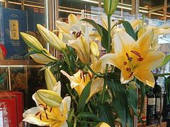 -顶特勒·黄鱼馆·特色菜(上海大世界店)