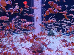 -海合安成都极地海洋公园