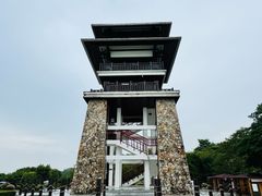 -大湾区中央湿地公园