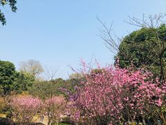 -南山植物园