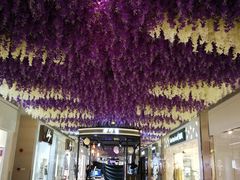 -深圳龙华星河COCO City(民治店)