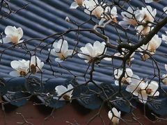 -杭州上天竺法喜讲寺