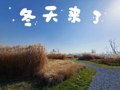 -汉长安城未央宫国家考古遗址公园