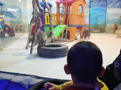 -华夏文旅海洋公园