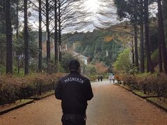 -四明山国家森林公园