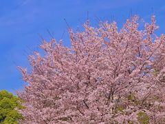 -马鞍山市博物馆