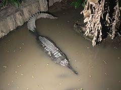 -清迈夜间动物园