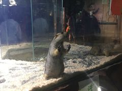 -白鹿仓冰雪海洋世界