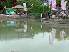 -嘉定紫藤园