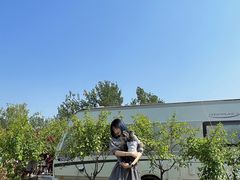 -TIPPI营地 房车主题·露营烧烤团建轰趴(天安假日店)