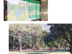 -后襄河公园