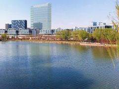 -大兴滨河森林公园