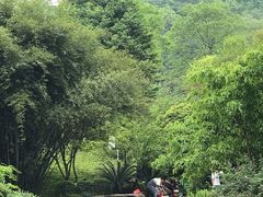 -龙头寺公园