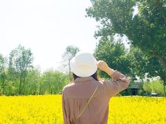 -长白岛森林公园