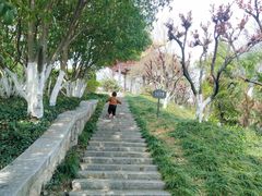 -幕燕滨江·燕子矶公园
