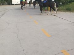 -意大利农场度假村