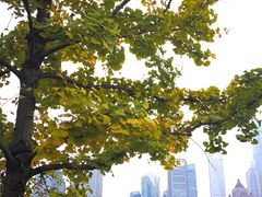 -北外滩滨江绿地