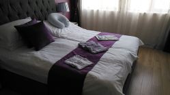 -海豚湾高端月子会所(黄浦店)