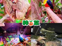 -正佳雨林生态植物园