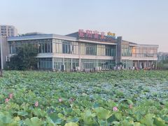 -海天湖公园