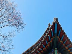 -碑林公园