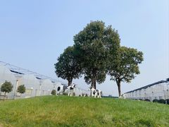 -上膳源有机农场