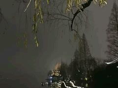 -西湖天地