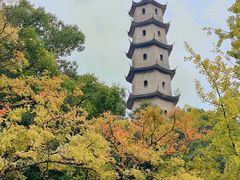 -江心屿景区