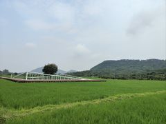 -艾米稻香小镇