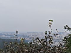 -府君山公园