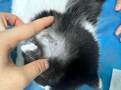 -达爱动物医院·犬猫分区·CT·复杂眼科(远洋山水分院)