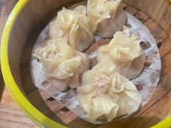 -真真老老(月河花鸟市场店)