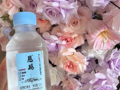 -上海浦东国际机场-T2航站楼