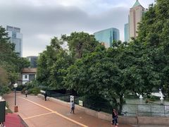 -九龙公园