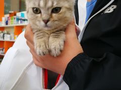 -德元·美联众合24小时动物医院(总院)