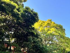 -鹤冈八幡宫