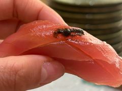 -鮨政· Omakase(港汇恒隆广场店)