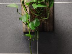 -余丞记川渝面馆(云峰店)