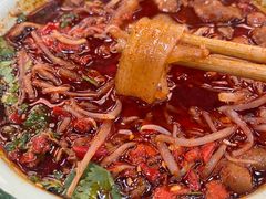 肥肠苕粉-脑馋粉儿(三里屯店)
