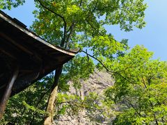 -白云源风景区