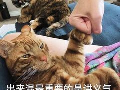 -杯欢制茶(三里屯店)