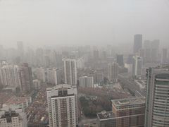 -上海新世界丽笙大酒店旋景餐厅(人民广场店)
