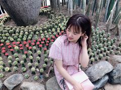 -南山植物园