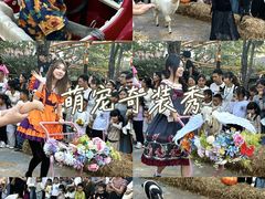 -灵玲国际马戏城