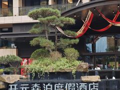 -杭州开元森泊度假乐园