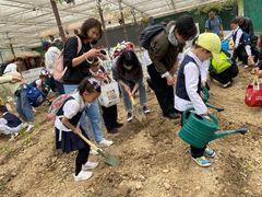 -上海市闵行科技幼儿园