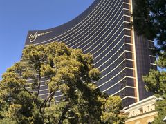 -拉斯维加斯永利酒店