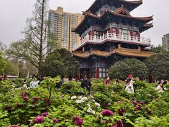 -洛阳市隋唐城遗址植物园
